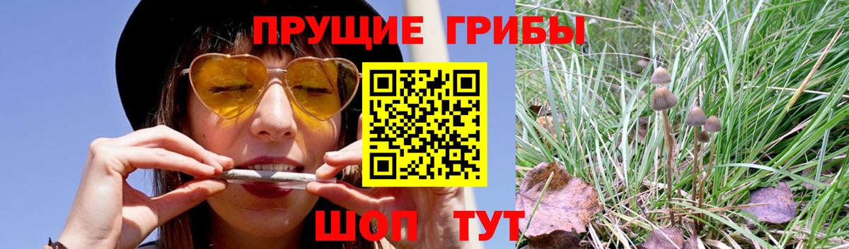 Серов  Псилоцибиновые грибы Magic Shrooms  Галлюциногенные грибы MAGIC MUSHROOMS  Вход с VPN 